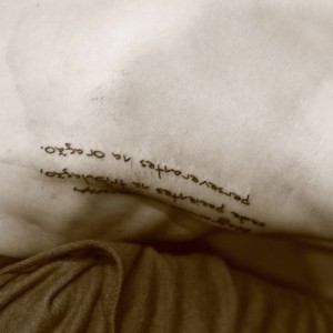 SKIN0498.jpg