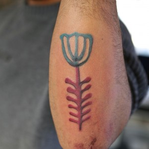SKIN0864.jpg