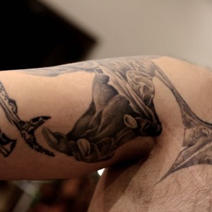 SKIN1681.jpg