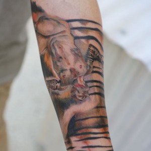 SKIN2377.jpg