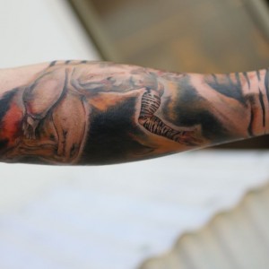 SKIN2379.jpg