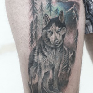 SKIN8048.jpg