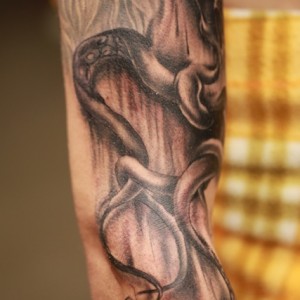 SKIN8455.jpg