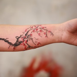 SKIN8489.jpg